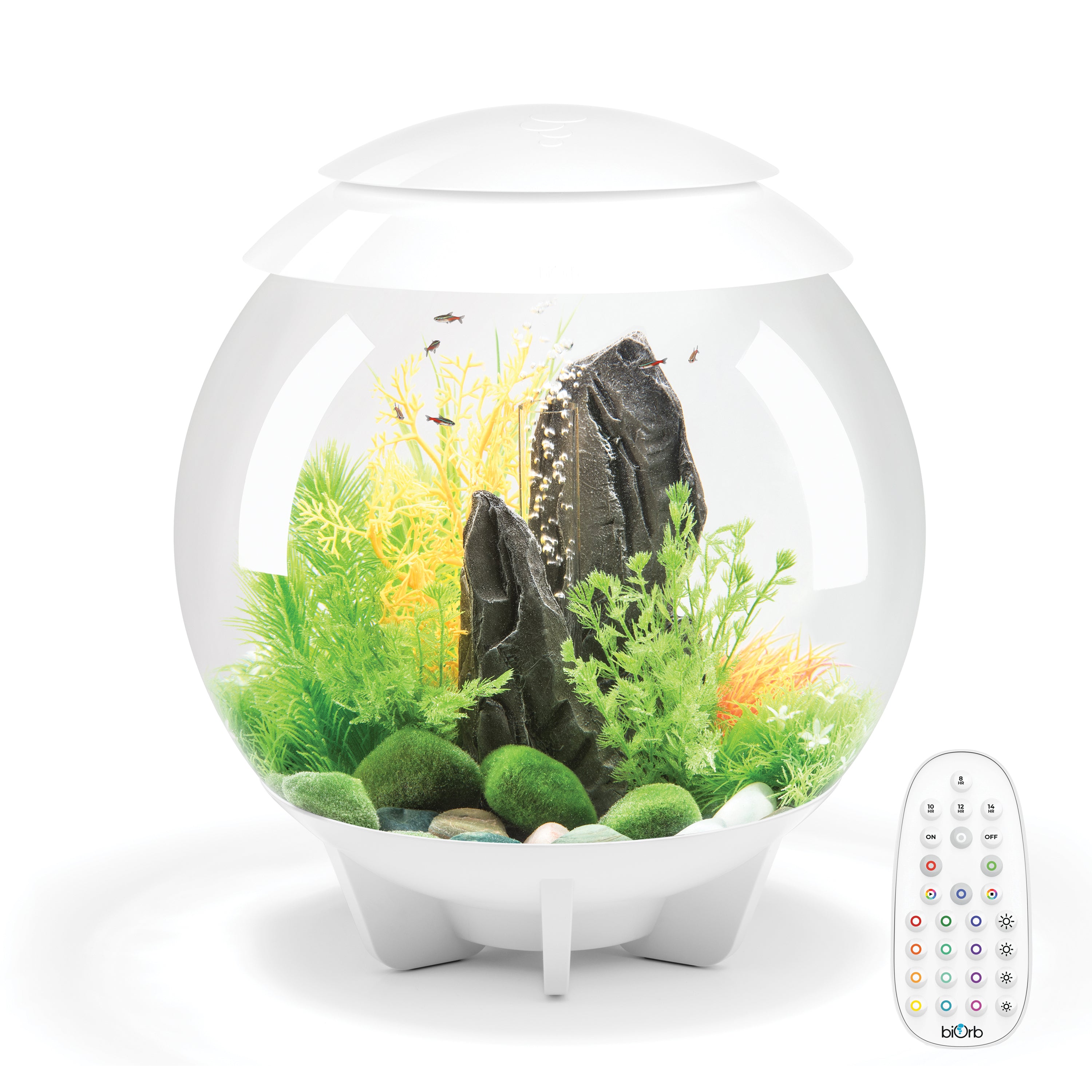 HALO 30 Aquarium with MCR Light - 8 gallon available in white