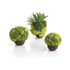 Coral Ball Set available in Green