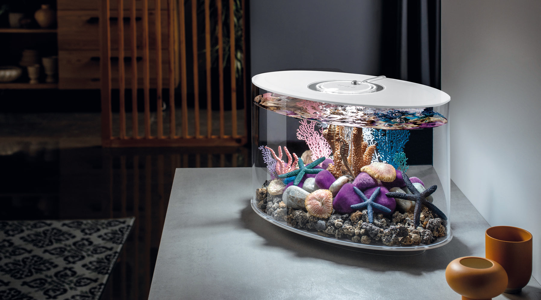 A Sensory Escape: The Science of Aquariums, Lighting, and Mental Well-Being