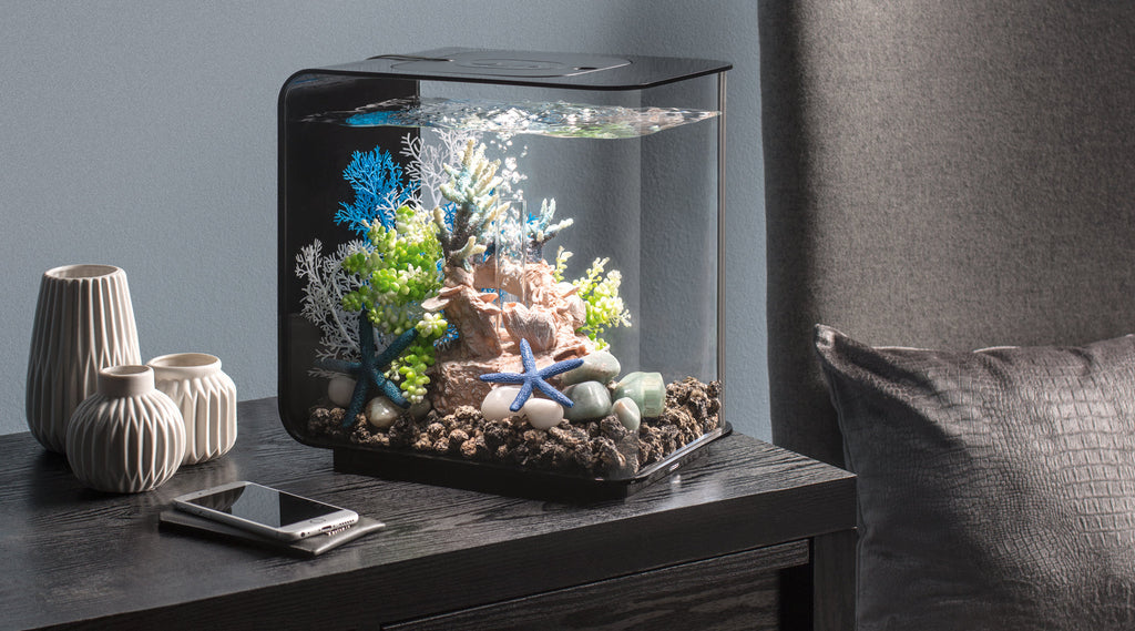 Mastering Aquarium Placement: A Guide to Transforming Your Space with biOrb