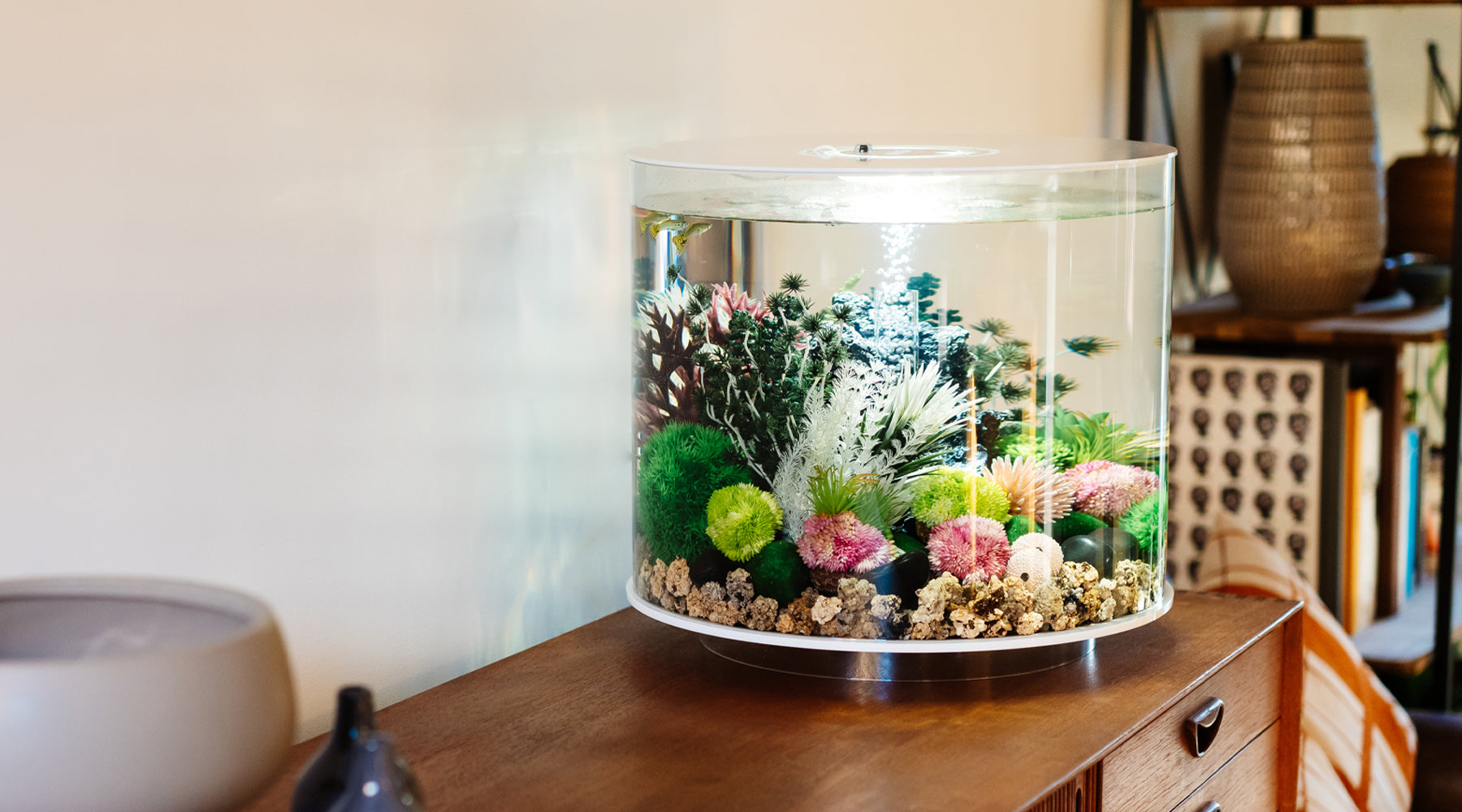 biOrb TUBE aquarium
