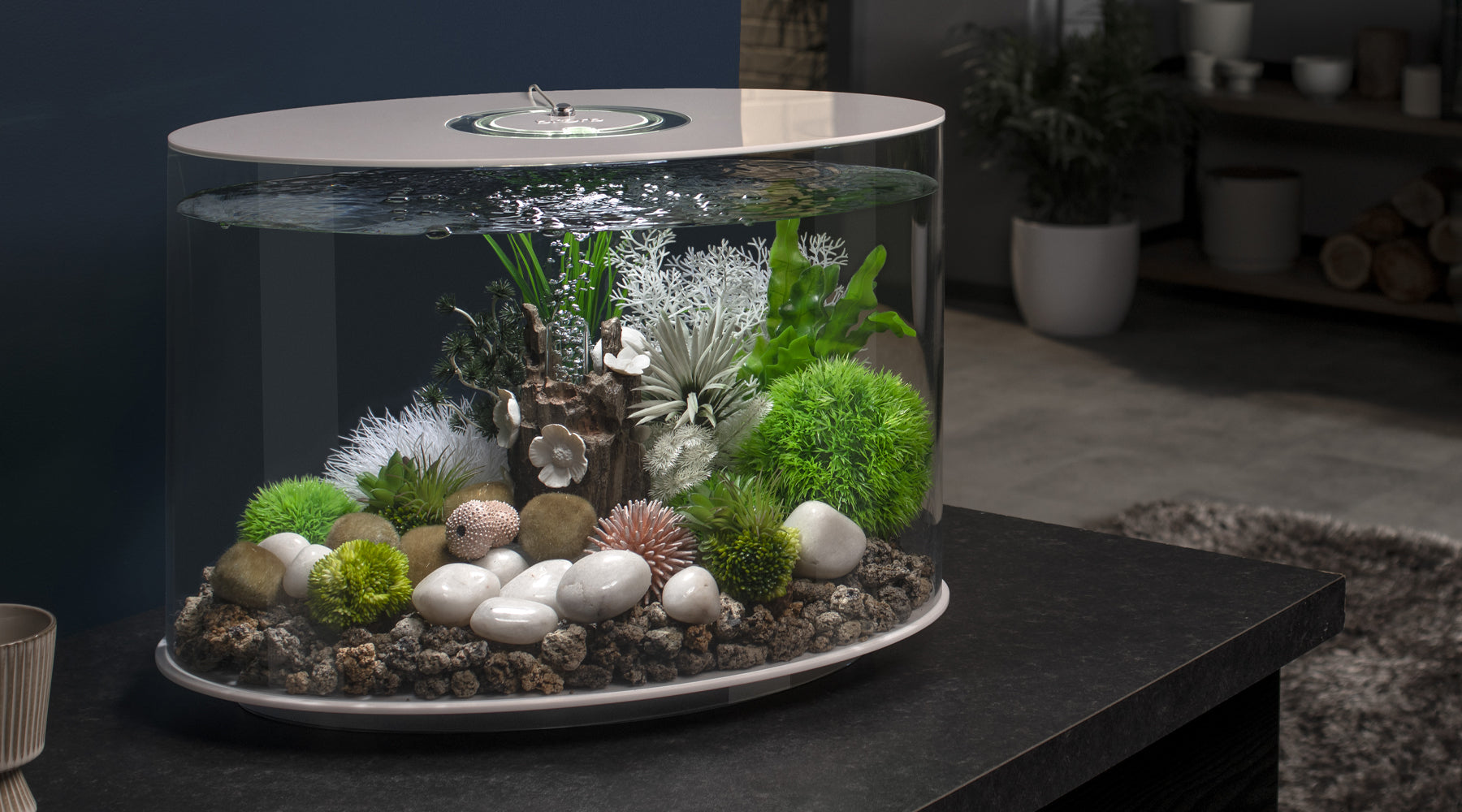 biOrb Trends 2025: Elevate Your Home with Stylish Aquariums, Terrariums & Vivariums
