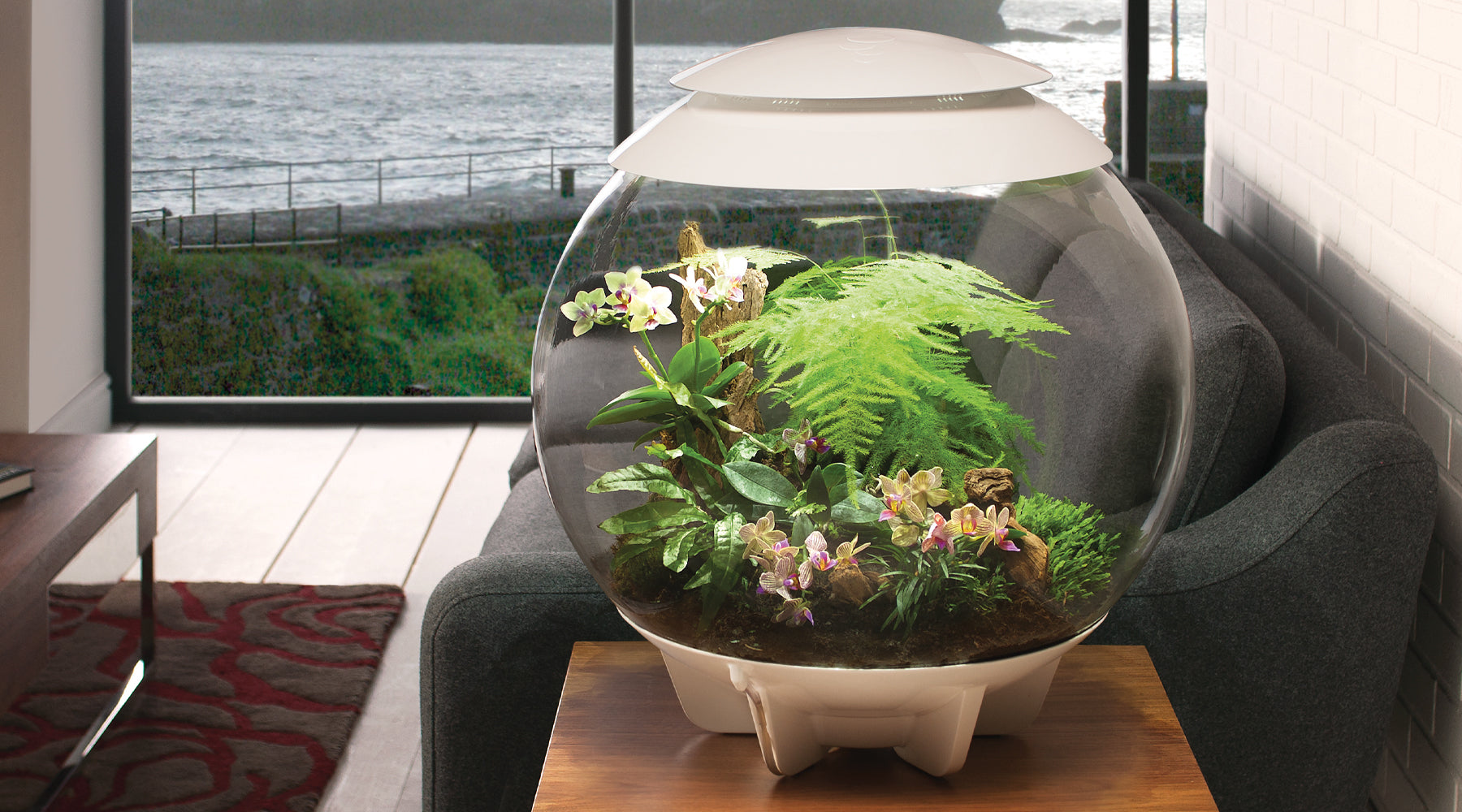 biOrb AIR terrarium