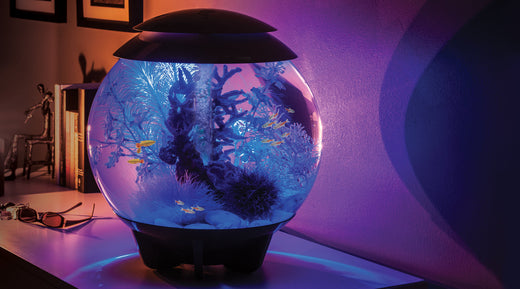 Light Up Your Mood: Transform Your Space with biOrb