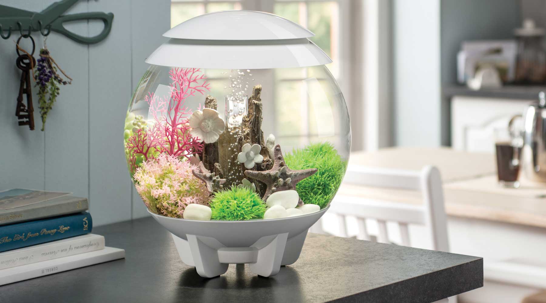 Early Signs of Spring: Refresh Your Home with Nature-Inspired biOrb Decor