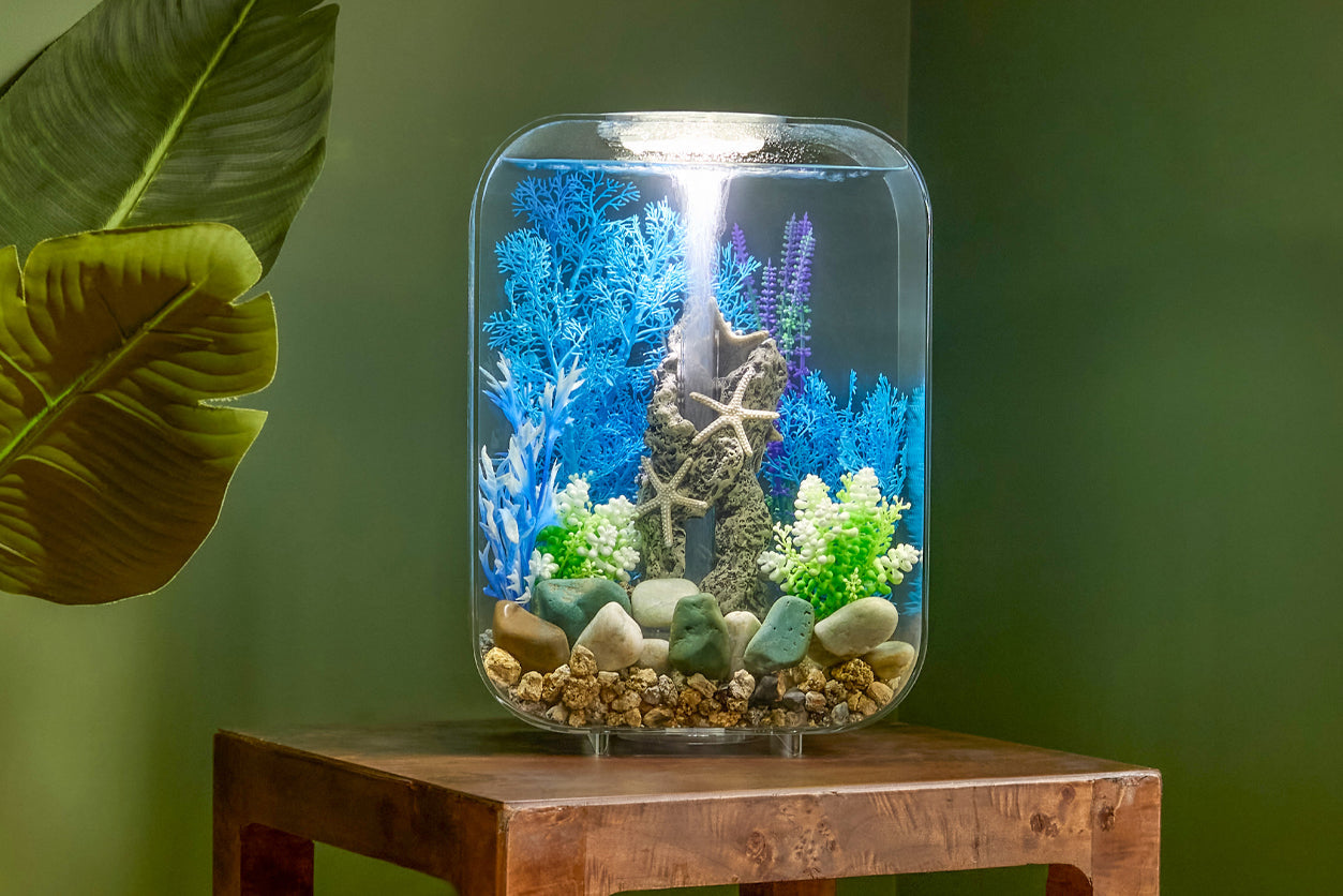 Giving An Aquarium Gift That Lasts with biOrb