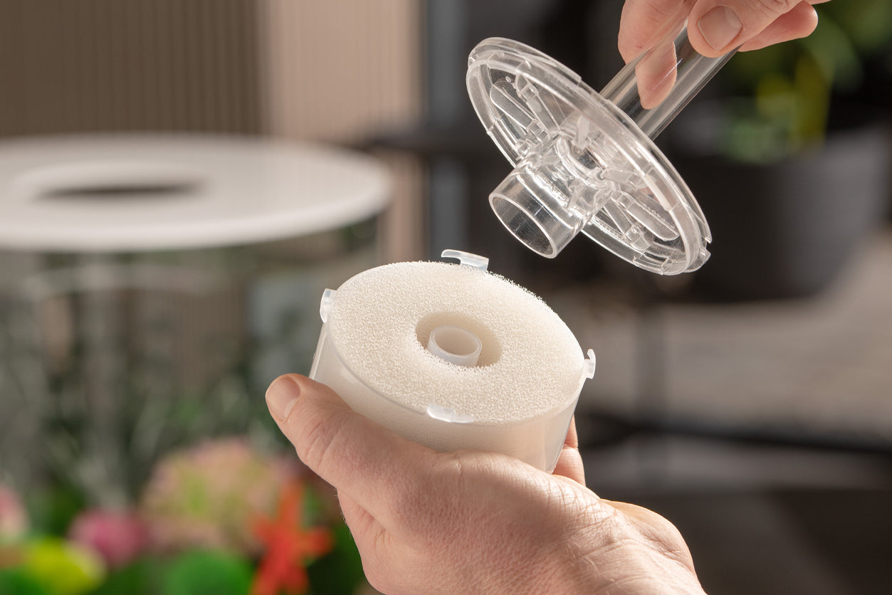 Spring Cleaning for Your biOrb: Best Aquarium Maintenance Tips for a Fresh Start