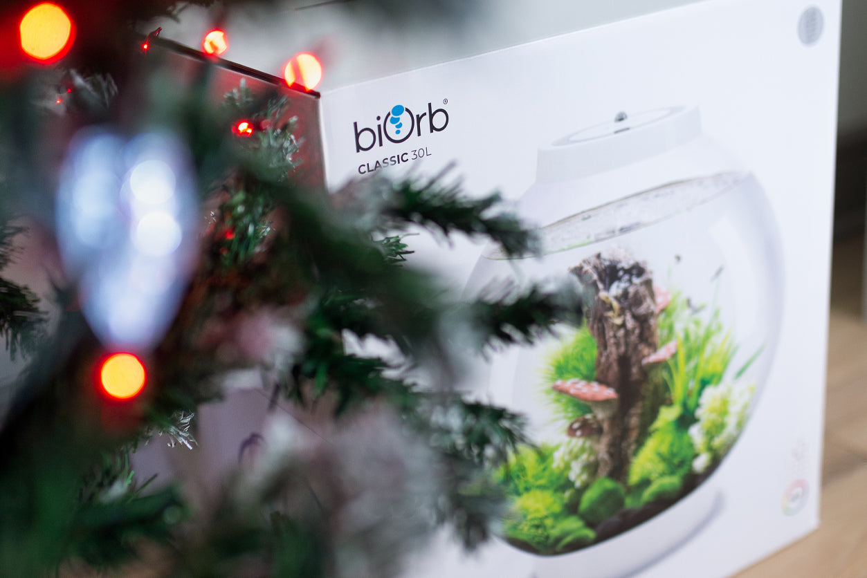 The Complete biOrb Gift Idea List