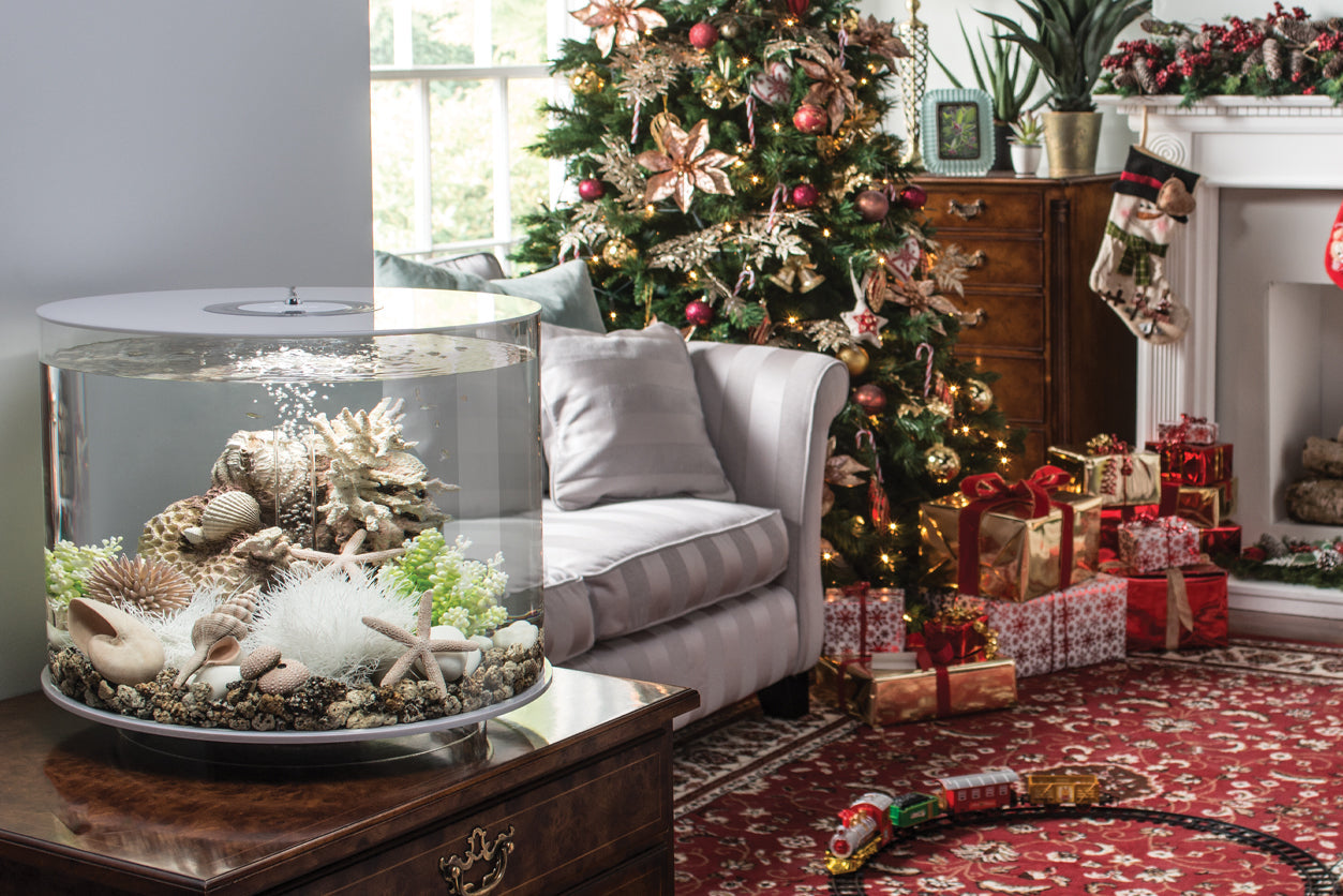 The biOrb Home Decor Holiday Edit