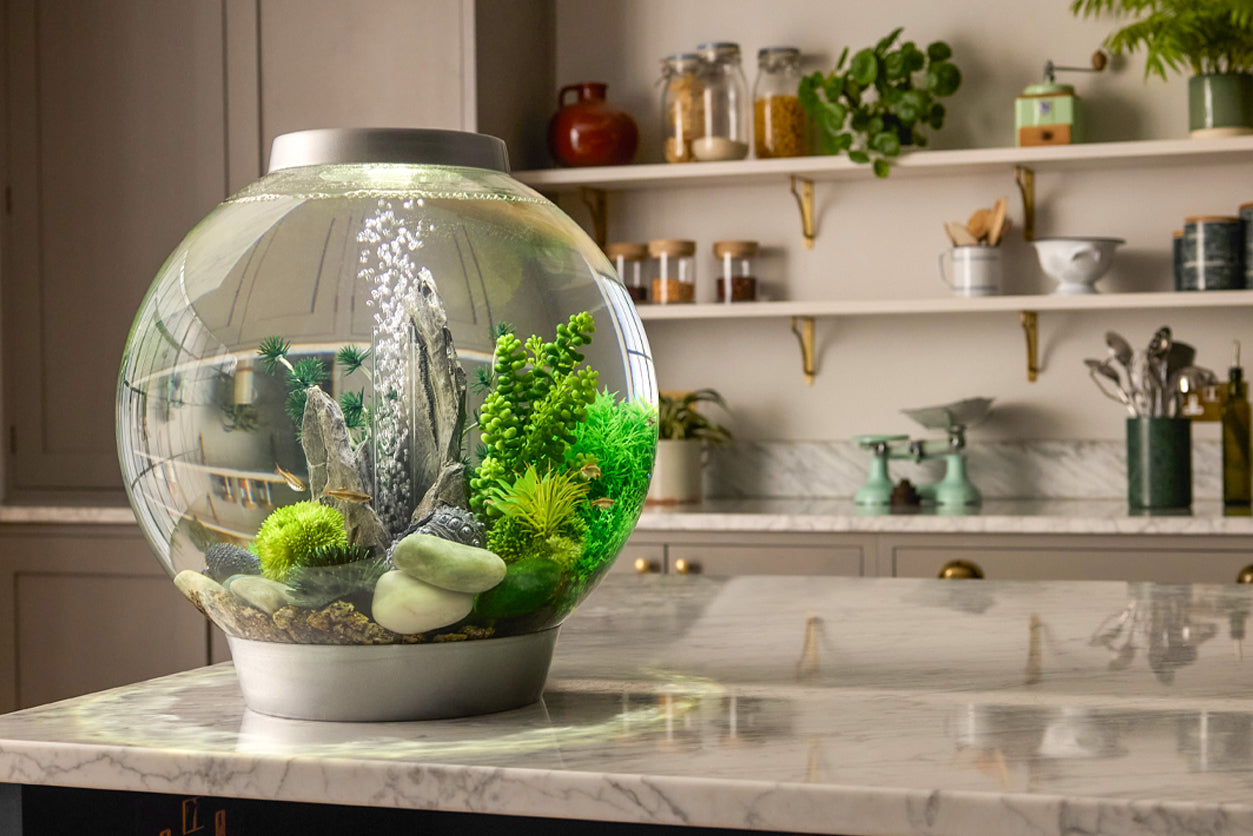 Make Time for Calm During the Holidays with biOrb