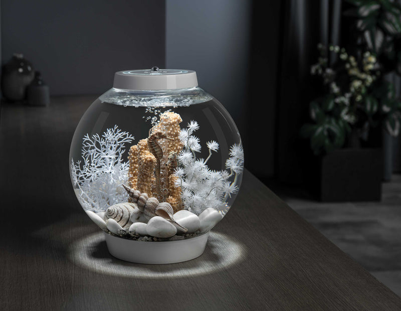 CLASSIC Aquariums Shop the Look