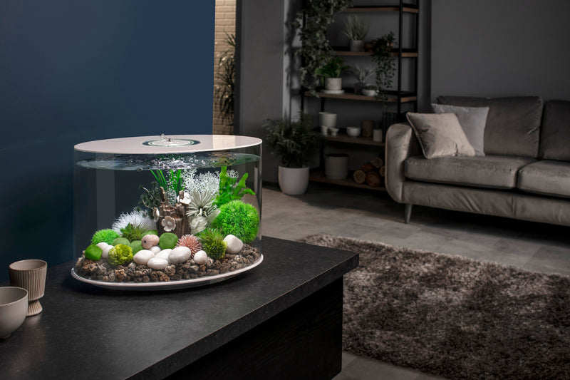 LOOP Aquariums Shop the Look
