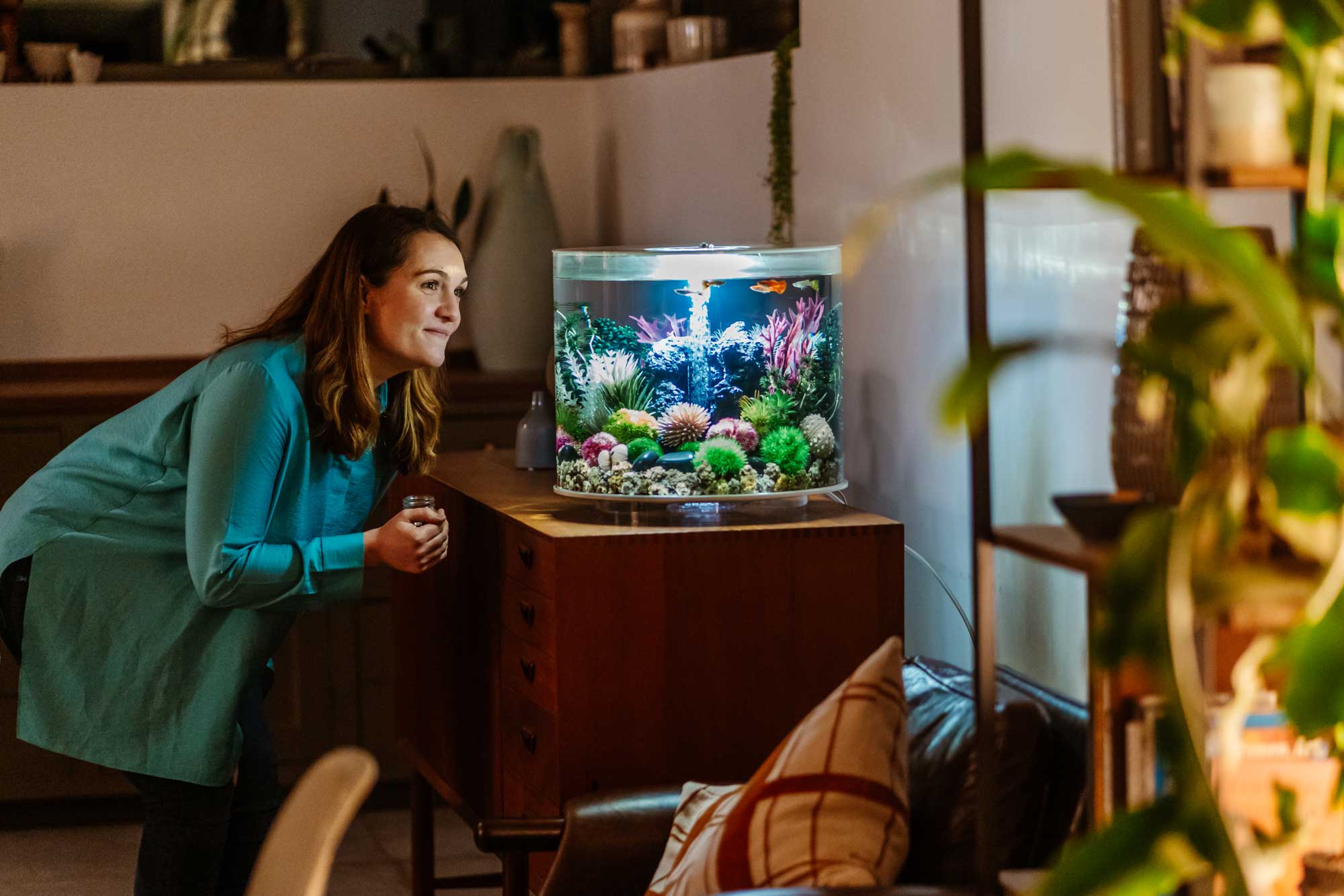 All Aquarium Products