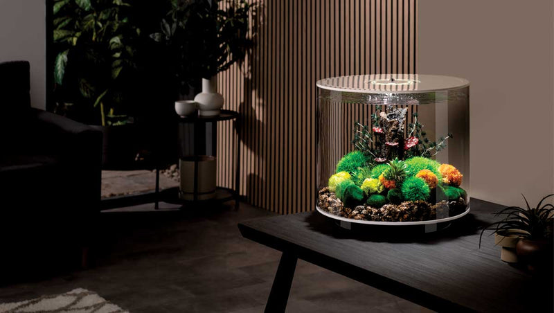 TUBE Aquariums Shop the Look
