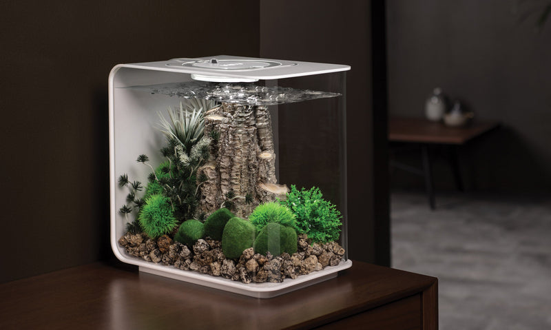 FLOW Aquariums Shop the Look