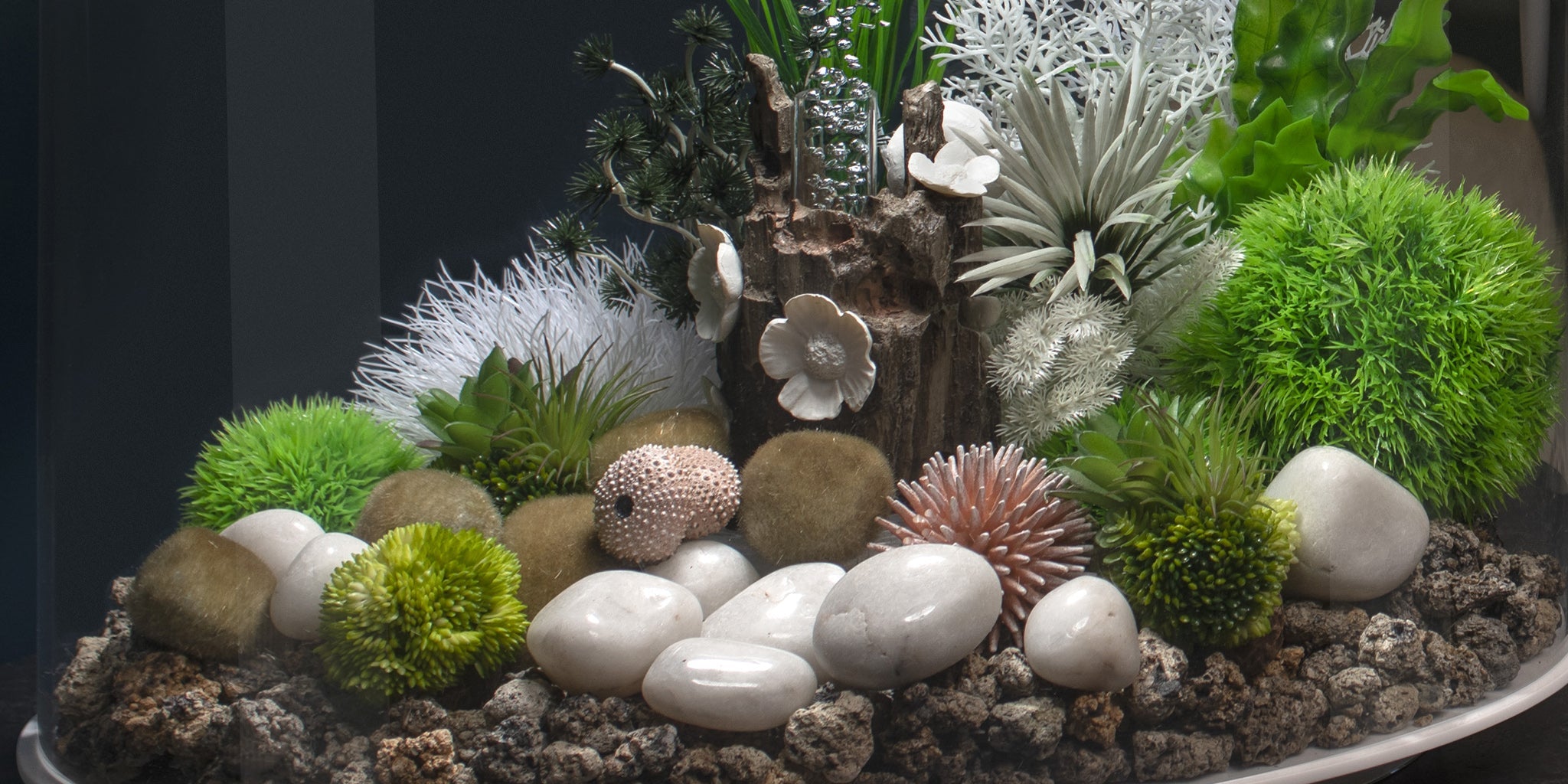 Aquarium Ornaments