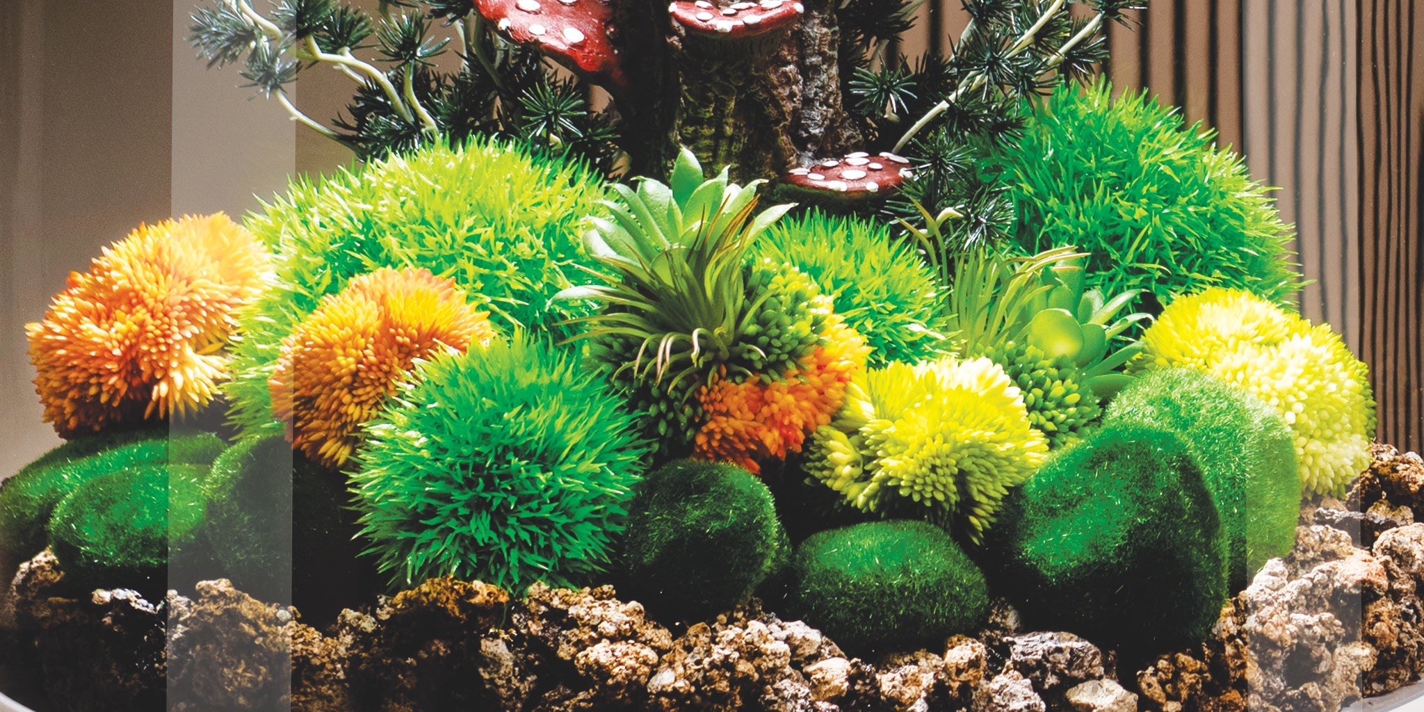 Aquarium Plants