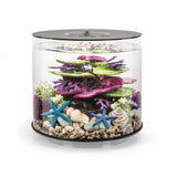 TUBE 15 Aquarium with MCR Light - 4 gallon available in black