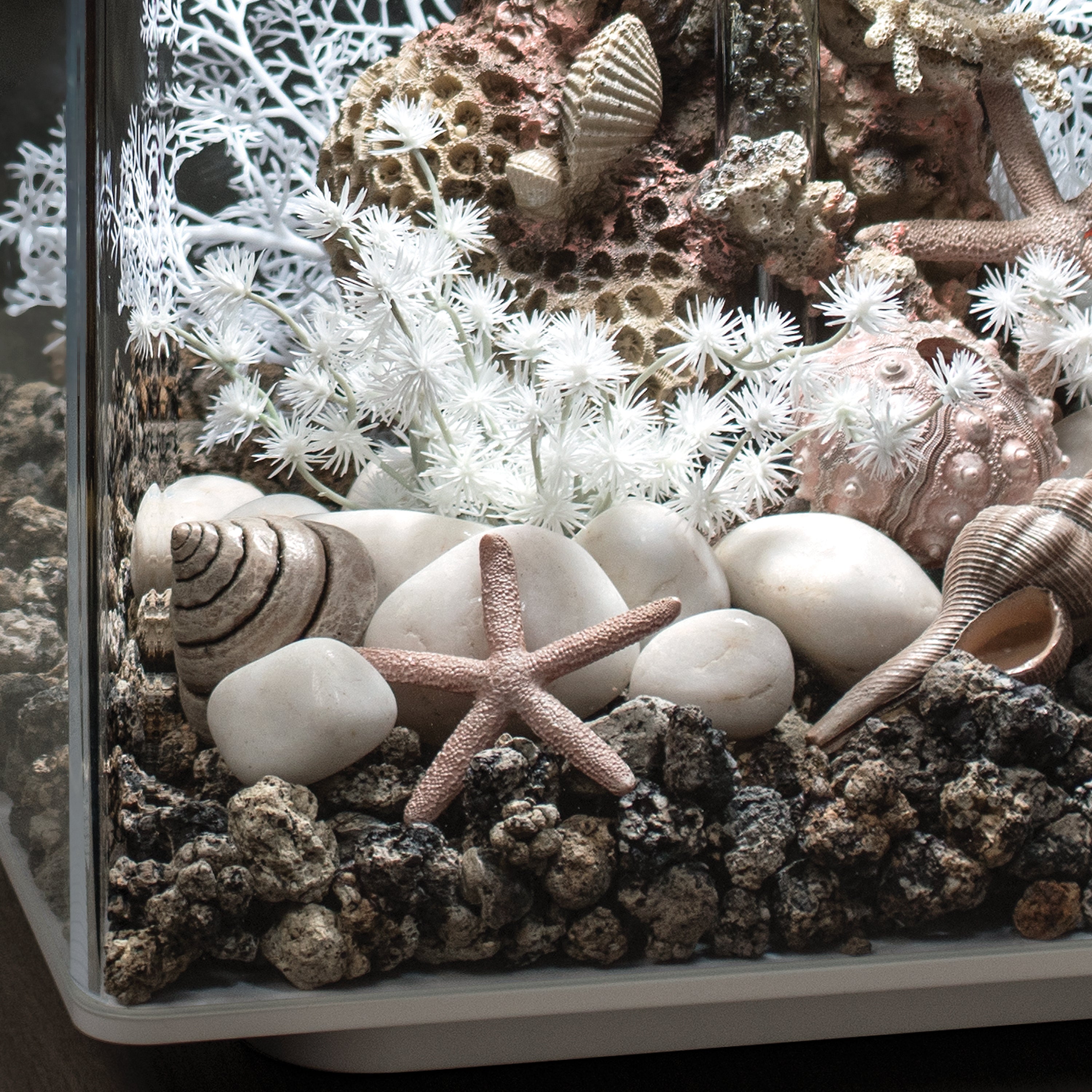 biOrb Ceramic Media in use