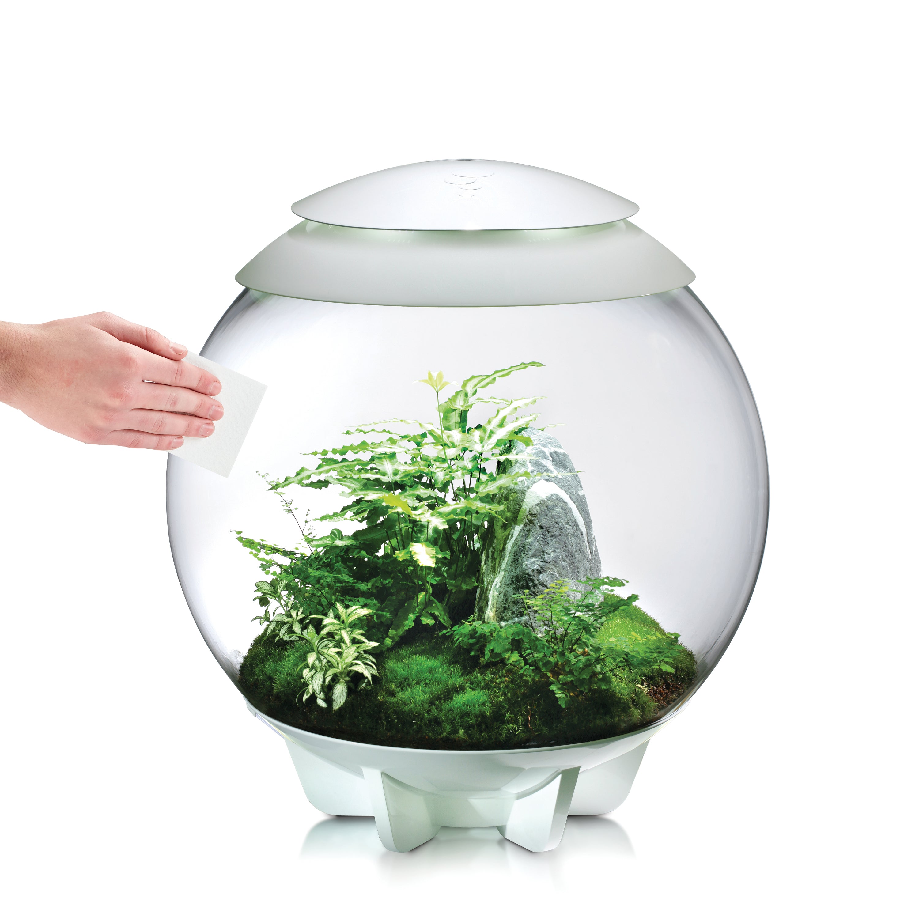 Scratch Remover and Polish also for use with biOrb AIR terrariums