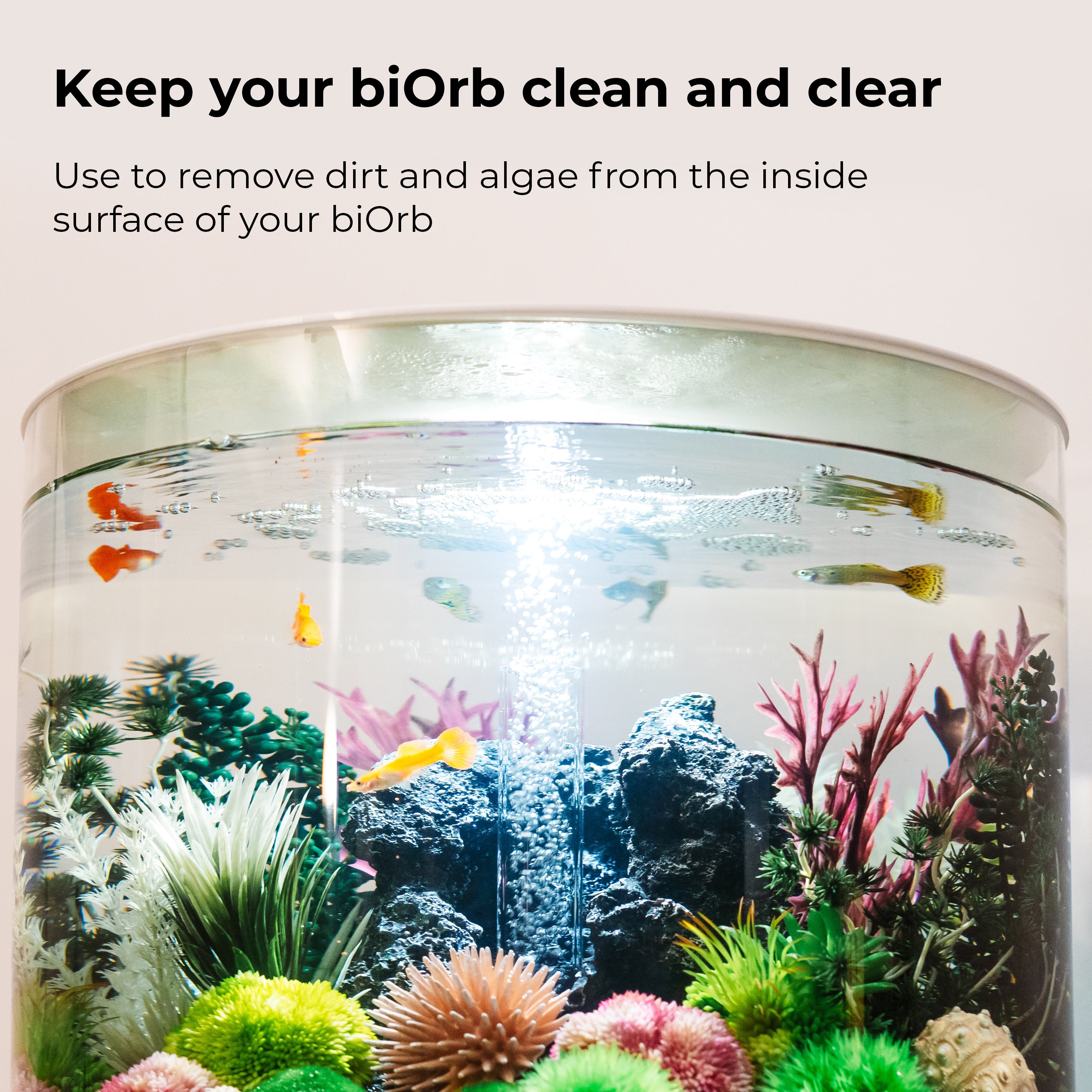 Cleaning Pads - Keep your biOrb clean and clear