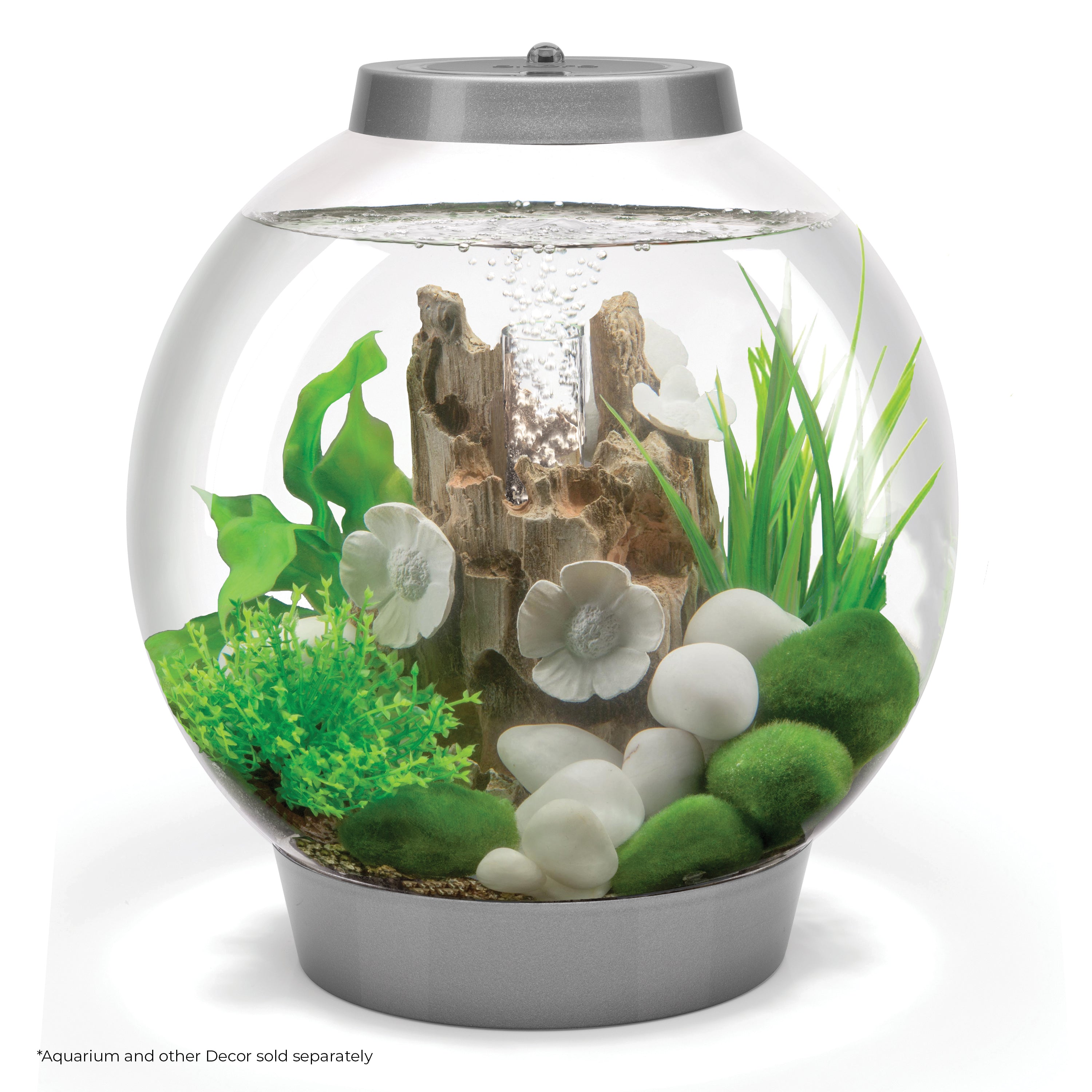 Green Easy Plant Set, small - In use