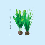 Green Easy Plant Set, small - Dimensions