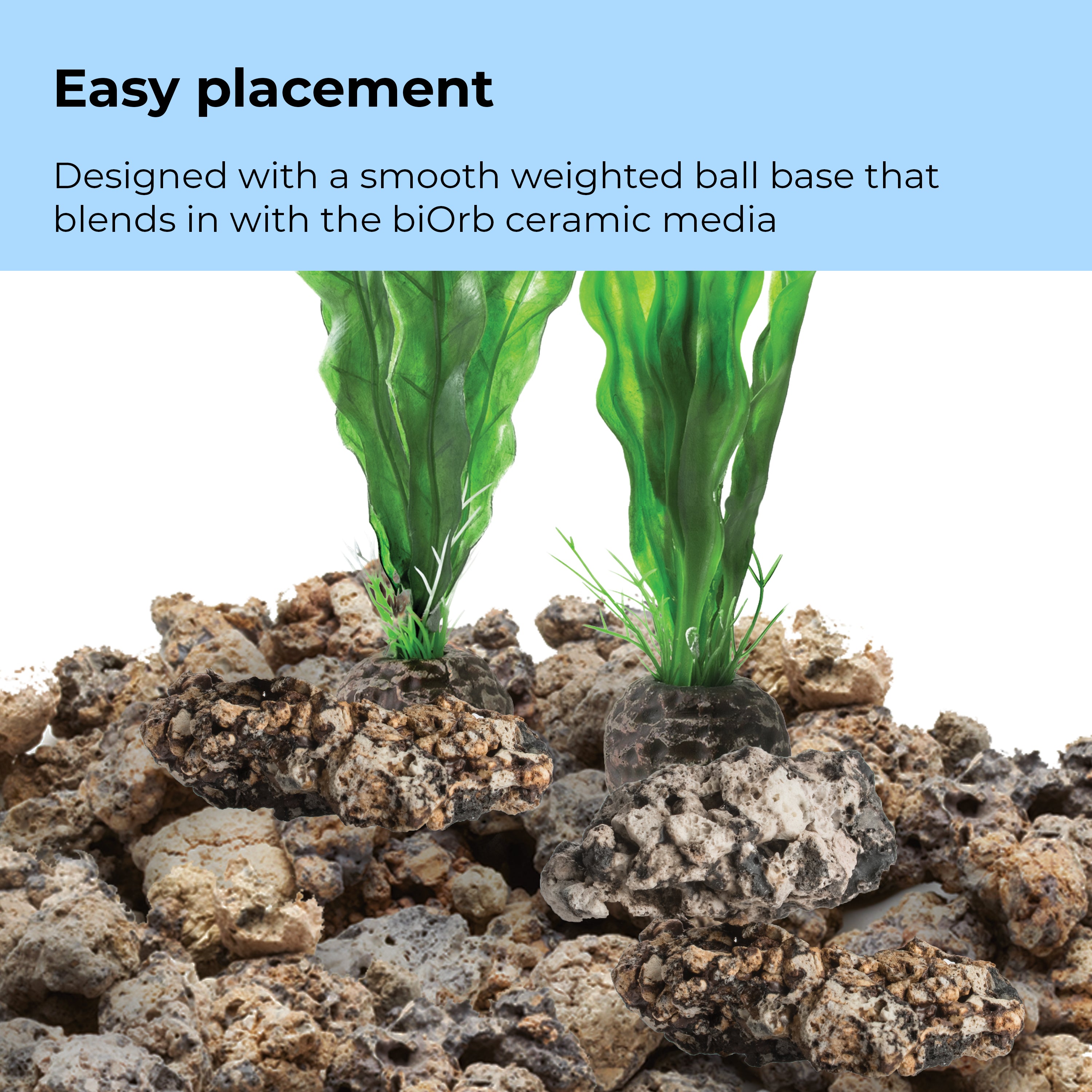 Green Easy Plant Set, medium - Easy placement