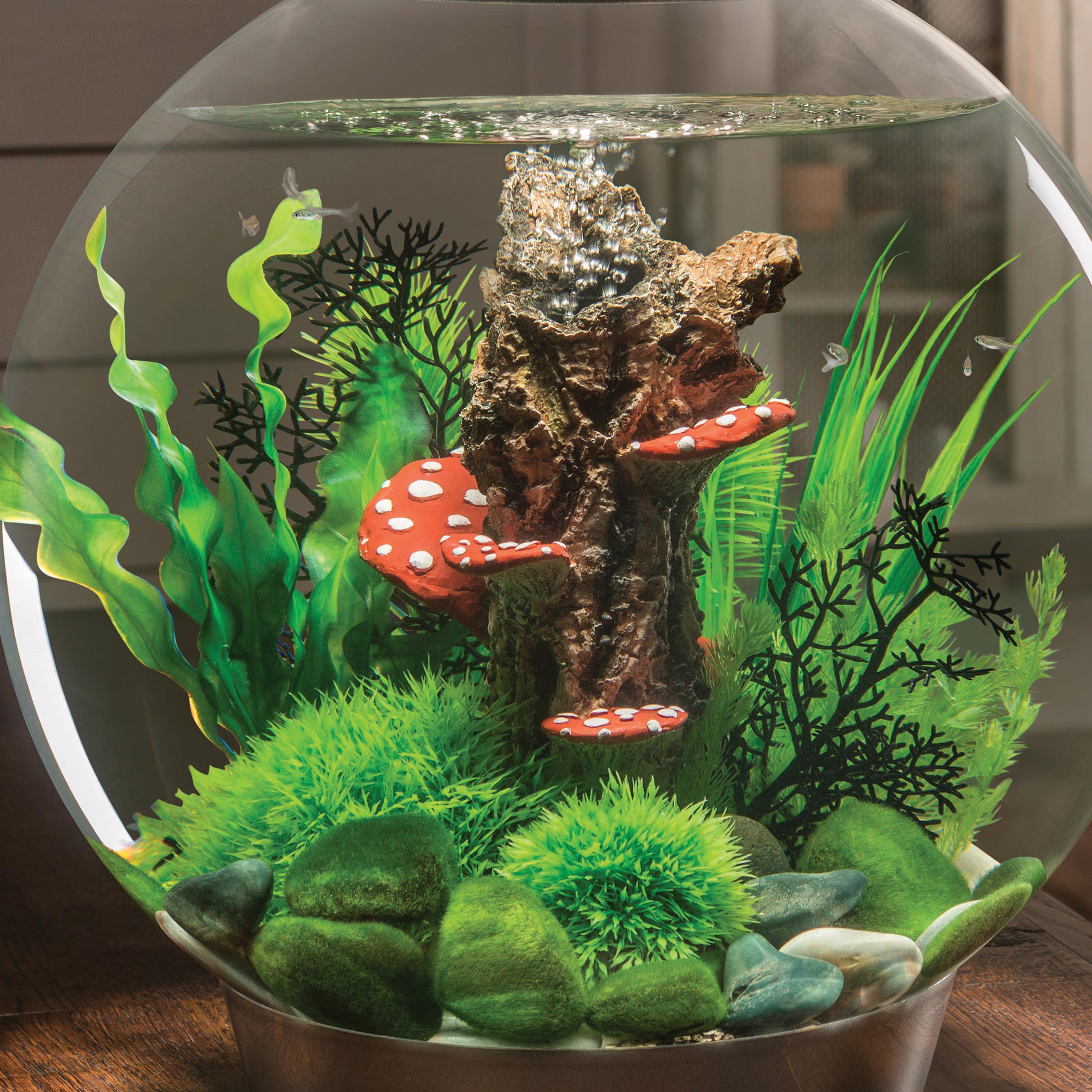 Green Easy Plant Set, medium - In use