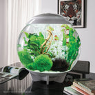 Green Easy Plant Set, large - In use
