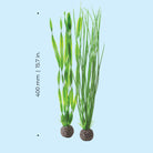 Green Easy Plant Set, large - Dimensions