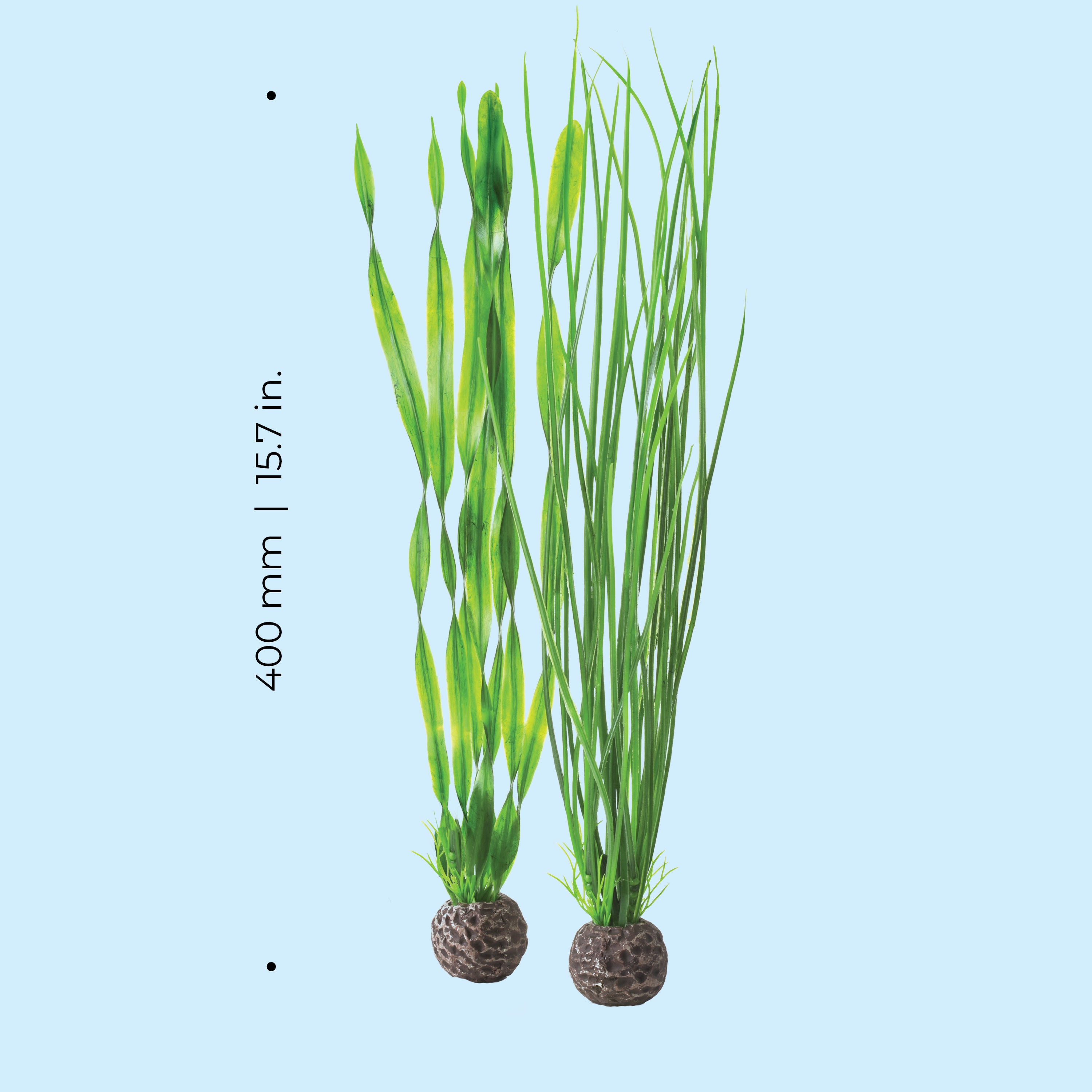 Green Easy Plant Set, large - Dimensions