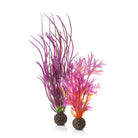 Red & Pink Plant Set, medium