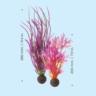 Red & Pink Plant Set, medium - Dimensions
