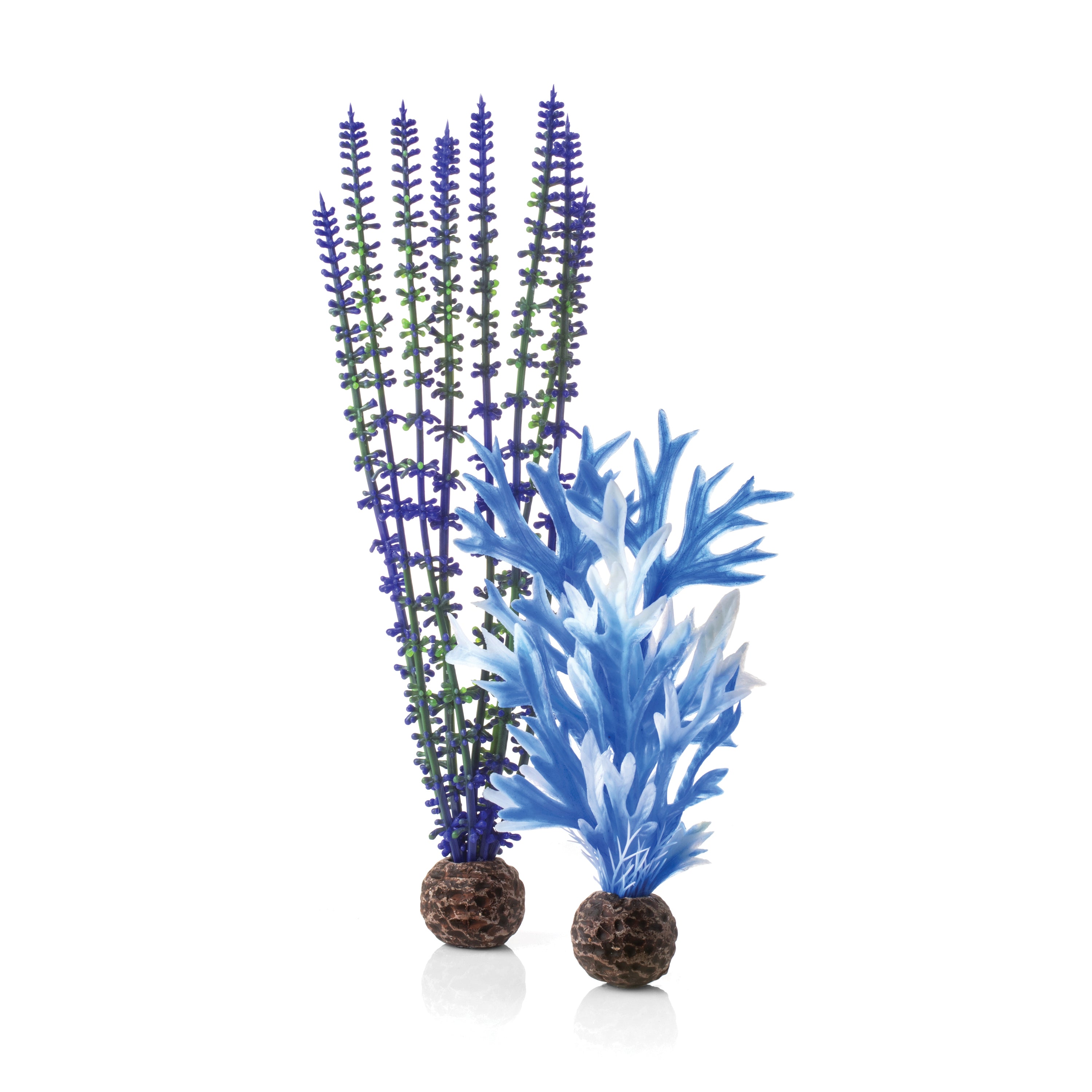 Blue & Purple Plant Set, medium