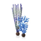 Blue & Purple Plant Set, medium
