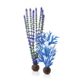 Medium Blue & Purple Plant Set