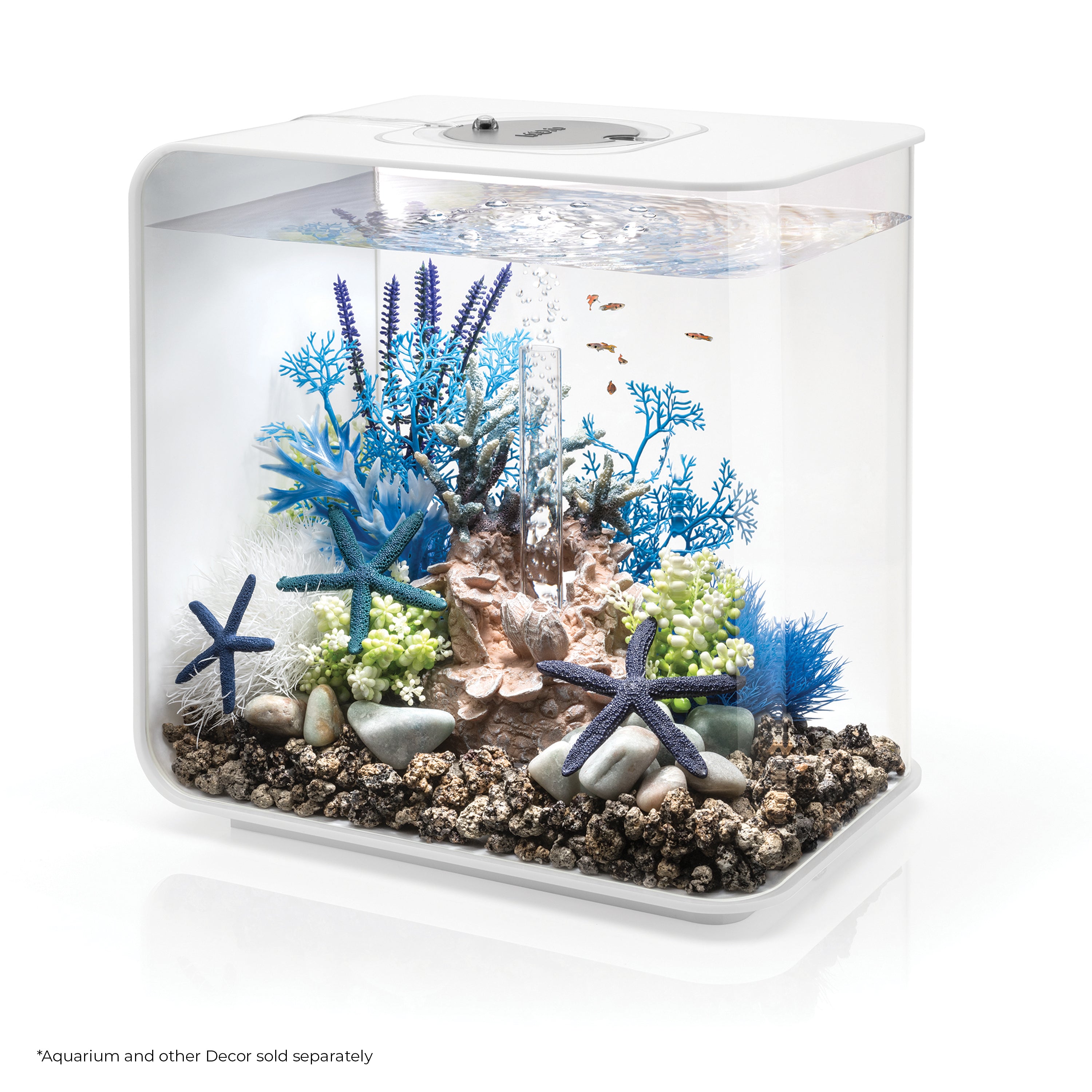 Blue & Purple Plant Set, medium - In use