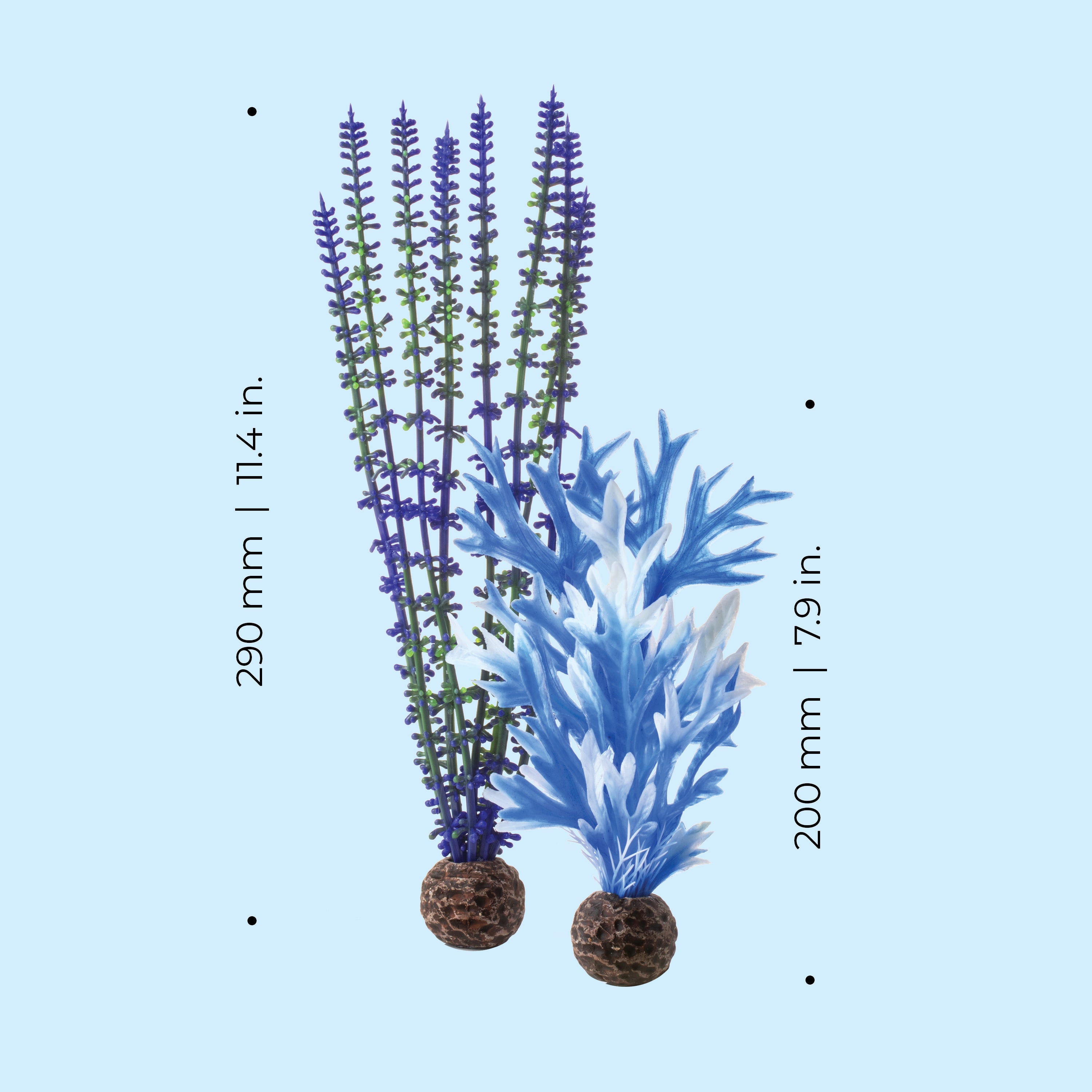 Blue & Purple Plant Set, medium - Dimensions