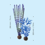 Blue & Purple Plant Set, medium - Dimensions