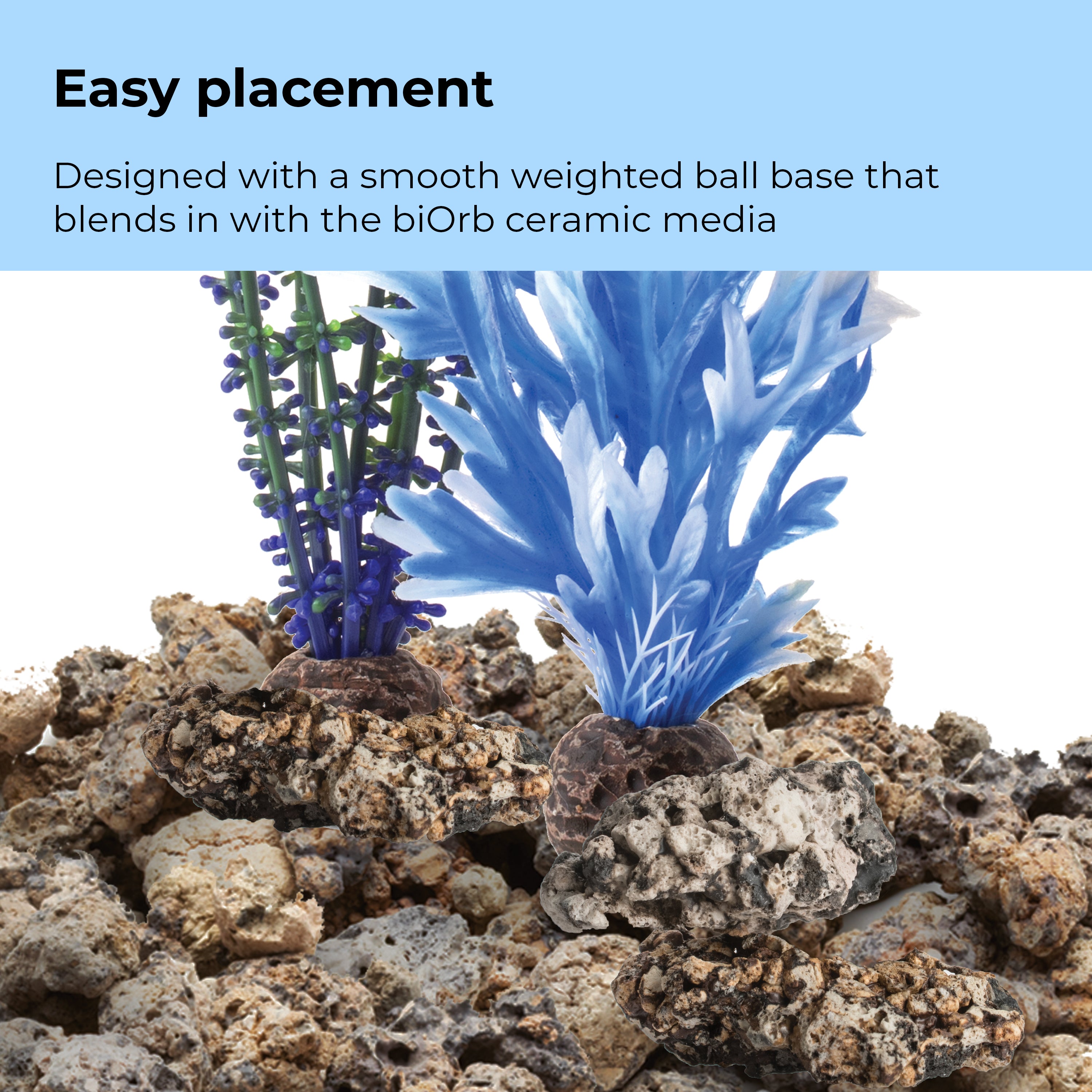 Blue & Purple Plant Set, medium - Easy placement