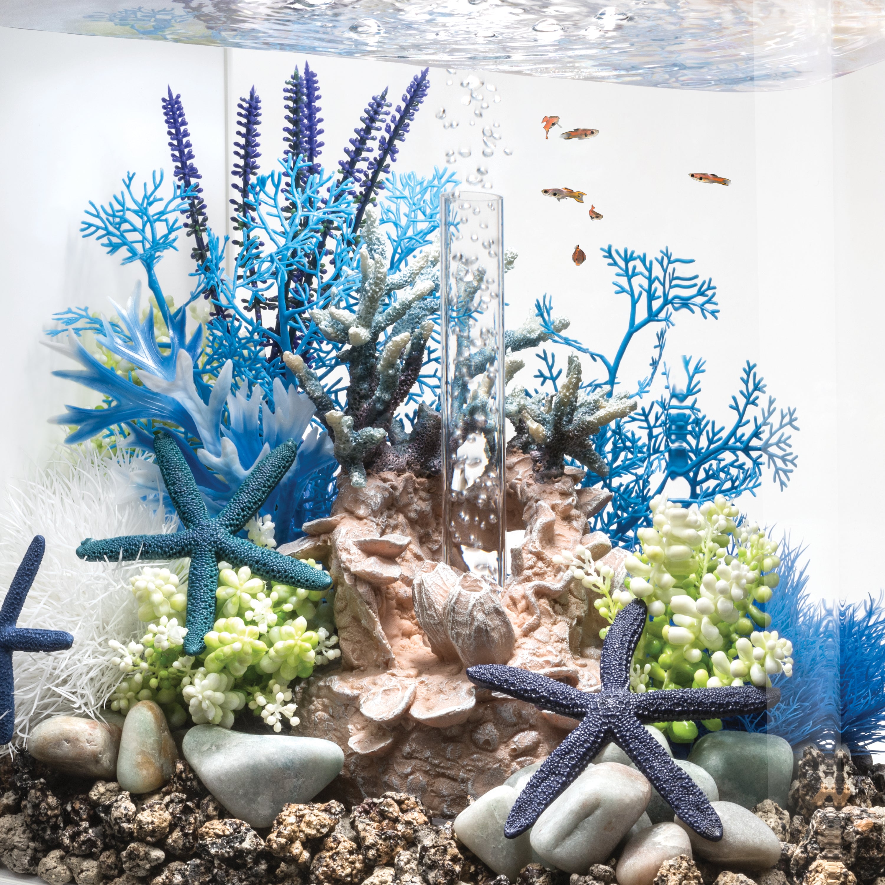 Blue & Purple Plant Set, medium - In use