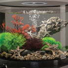 Aquatic Topiary Ball Set - In use