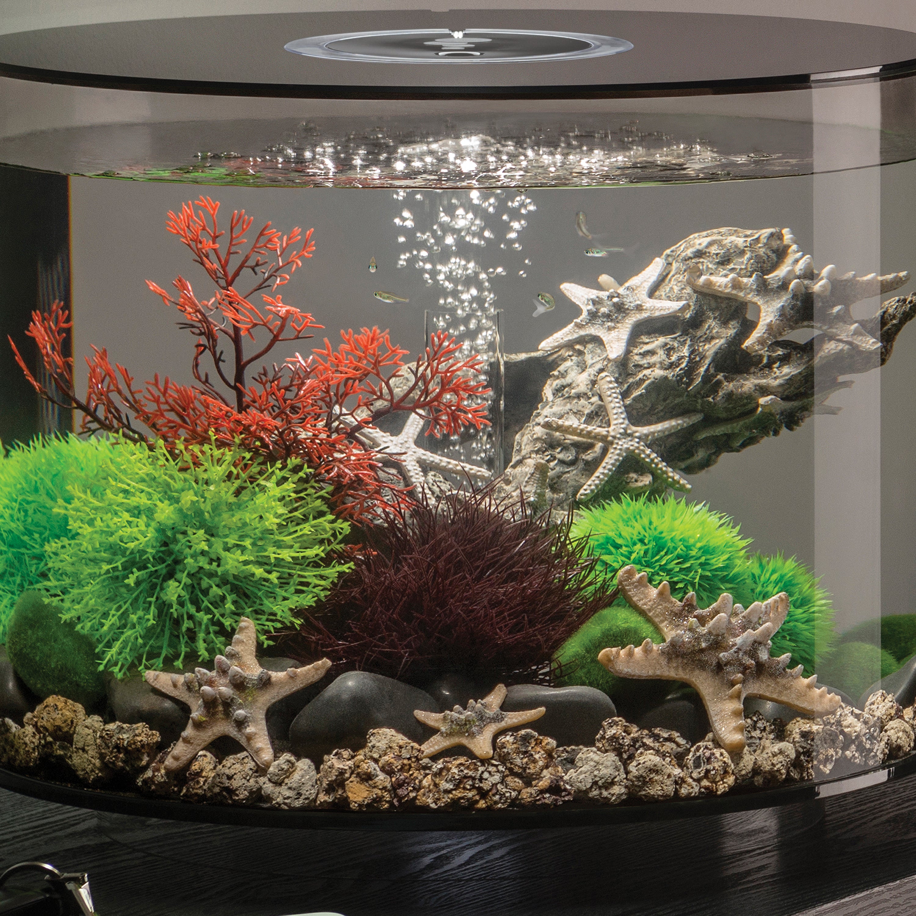 Aquatic Topiary Ball Set - In use