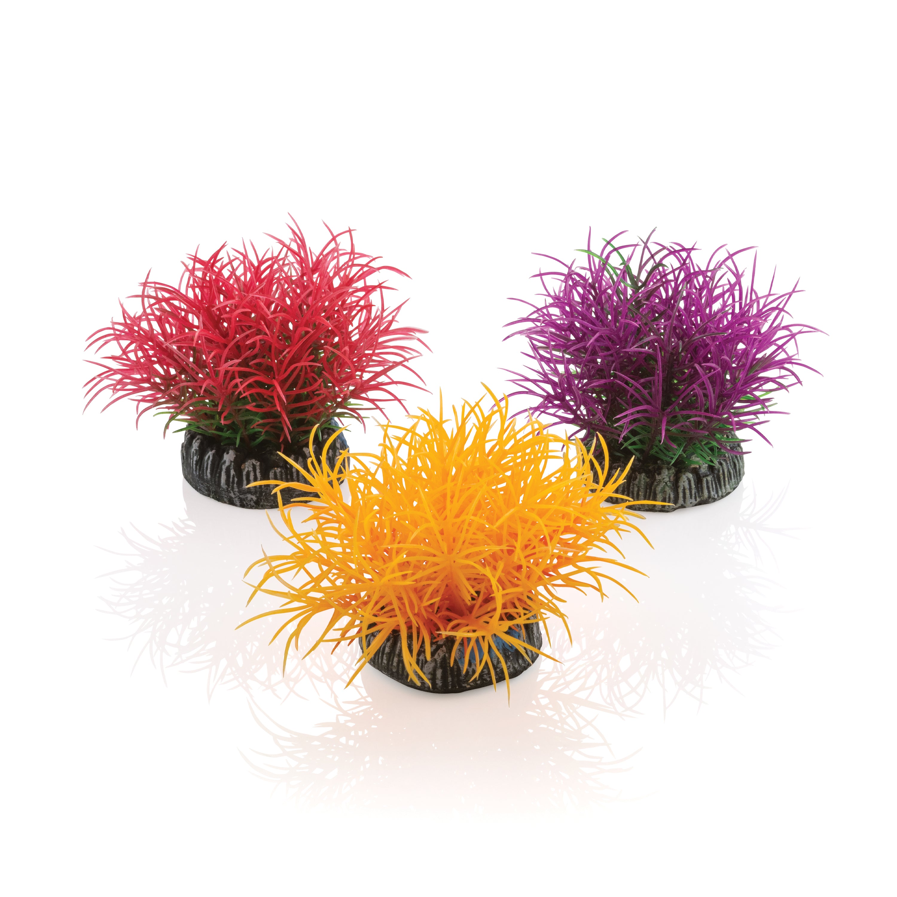 Aquatic Color Ball Set