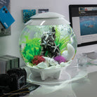 Aquatic Color Ball Set - In use