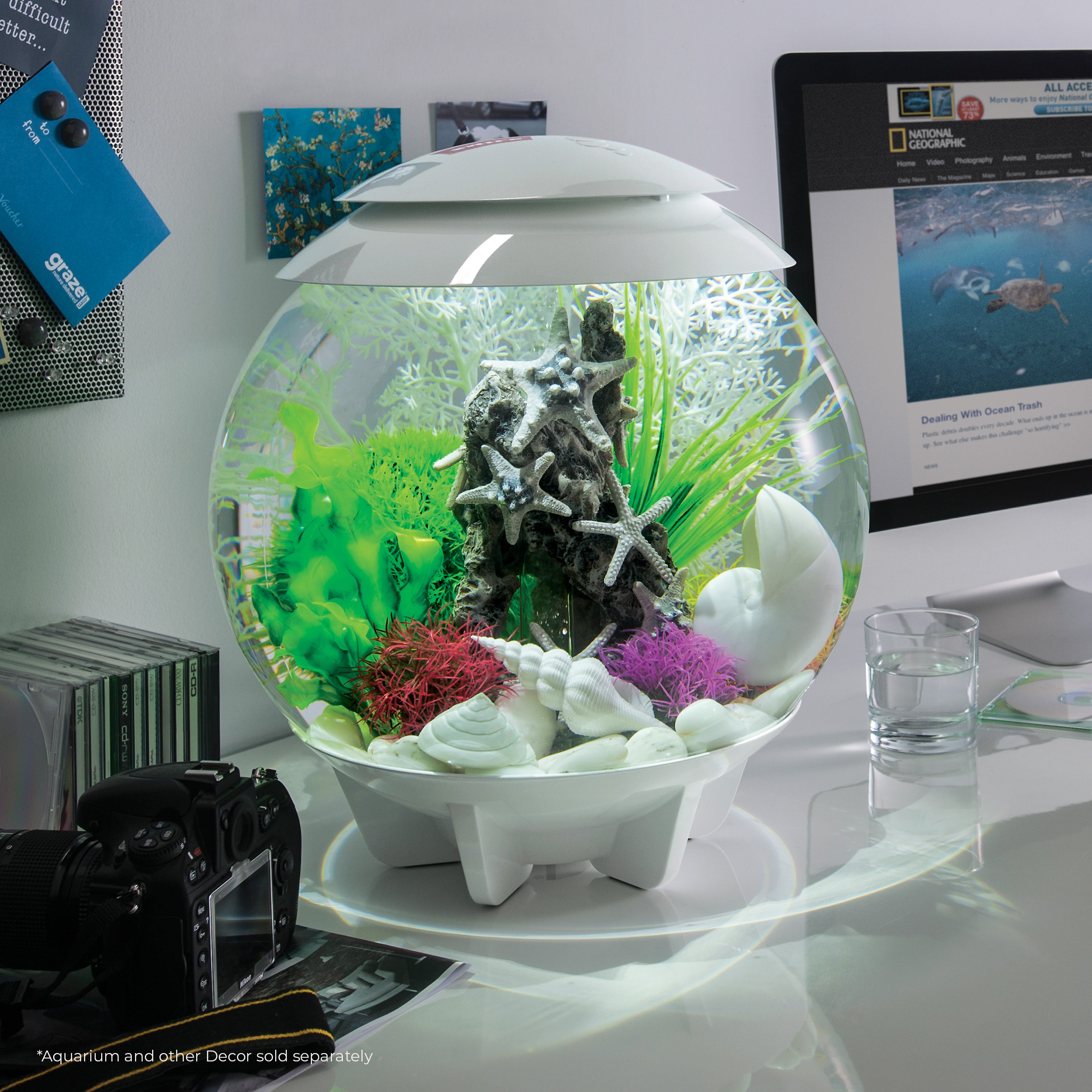 Aquatic Color Ball Set - In use