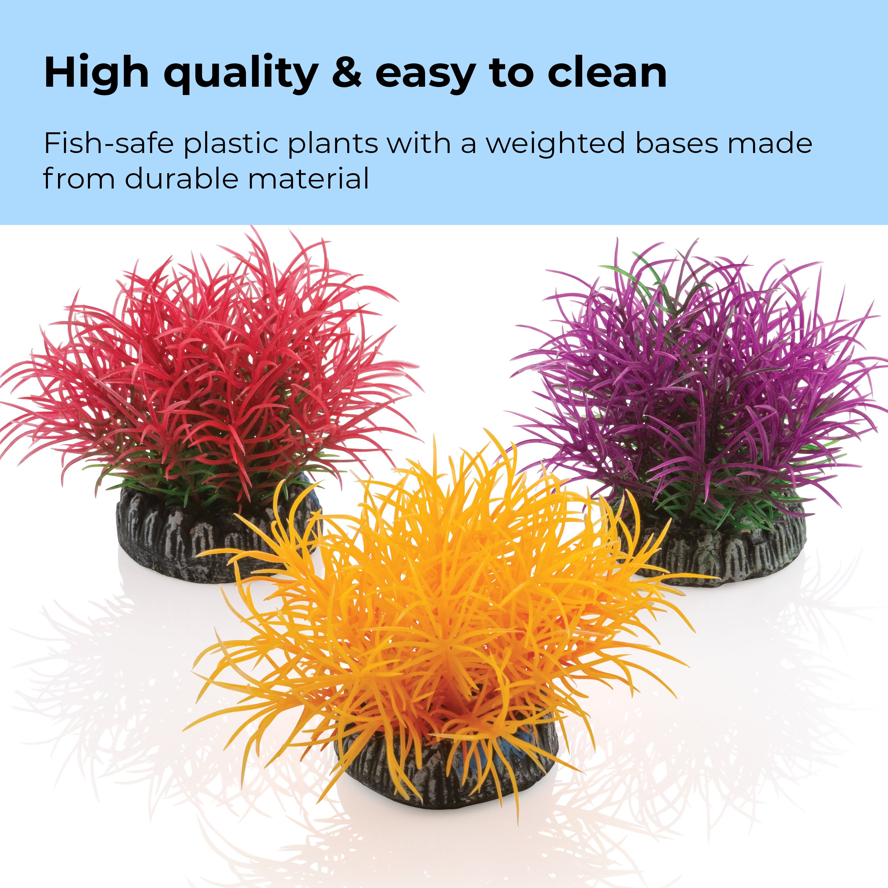 Aquatic Color Ball Set - High quality & easy to clean