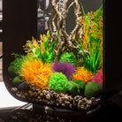 Aquatic Color Ball Set - In use