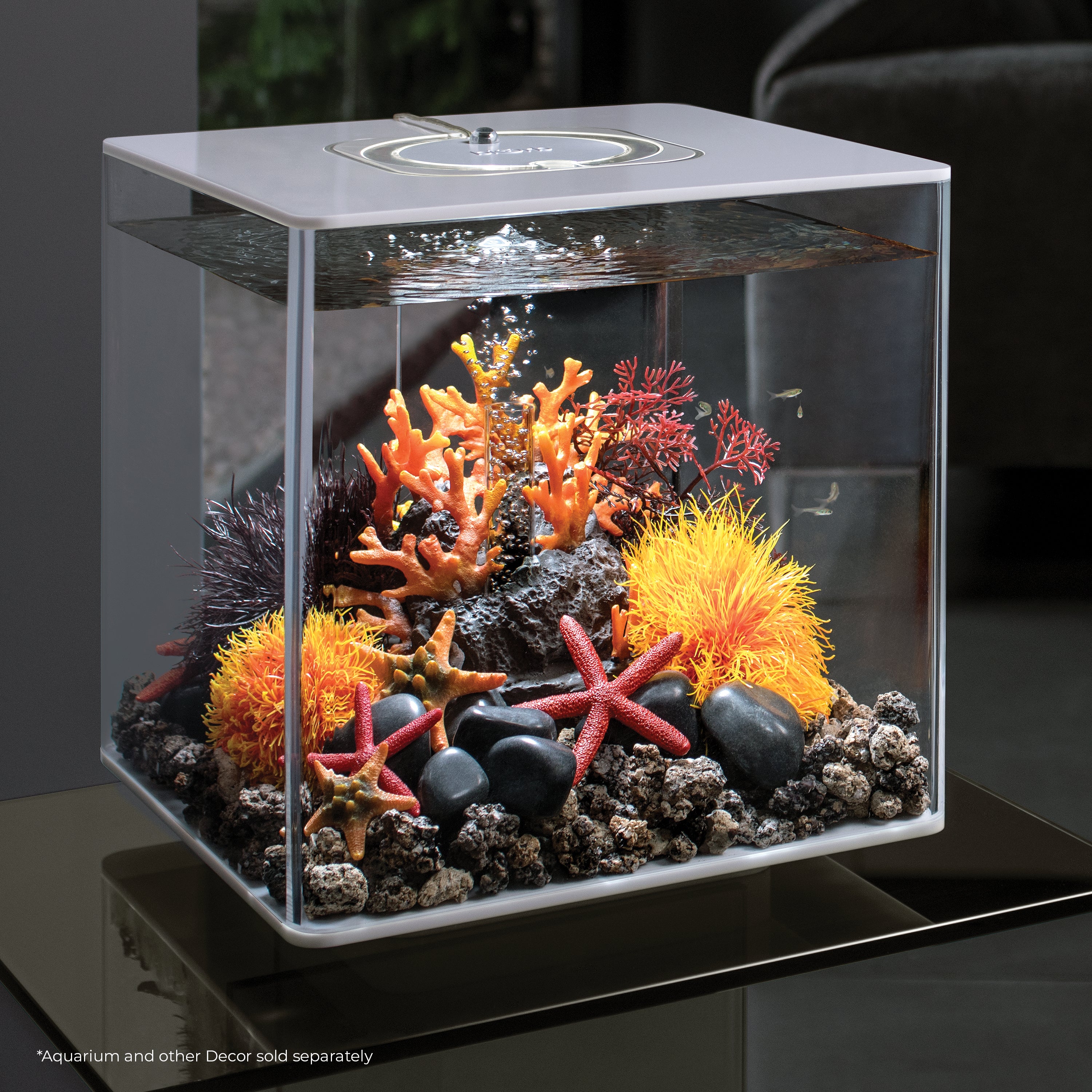 Aquatic Color Ball - Orange In Use